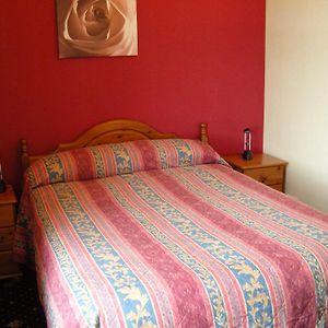 Budget Single Room